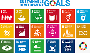 Sustainable Development Goals（SDGs）